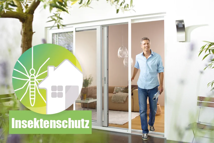 Insektenschutz